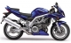 sv1000s