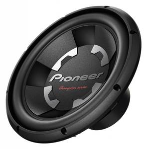Pioneer TS-300D4 